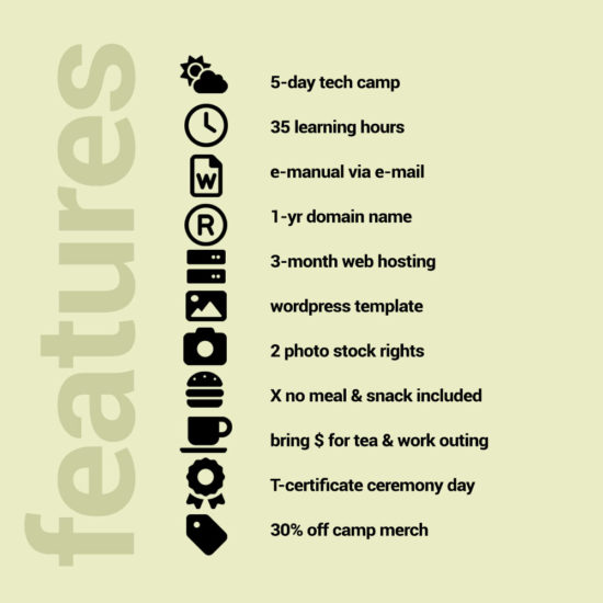 Wordpress Website Development Beginners No Meal