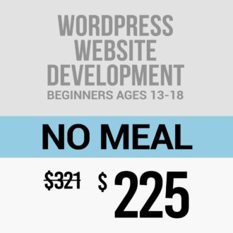 Wordpress Website Development Beginners No Meal